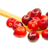 Cranberry extract - Nephroxan Composition 